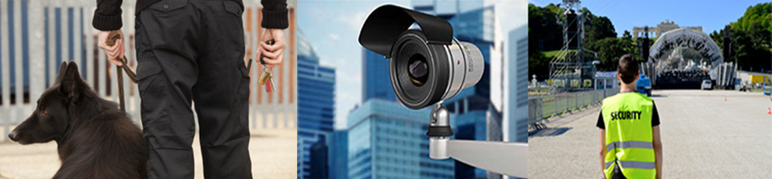 curso vigilante de seguridad a distancia